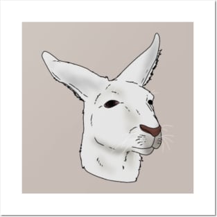 Albino Kangaroo Posters and Art